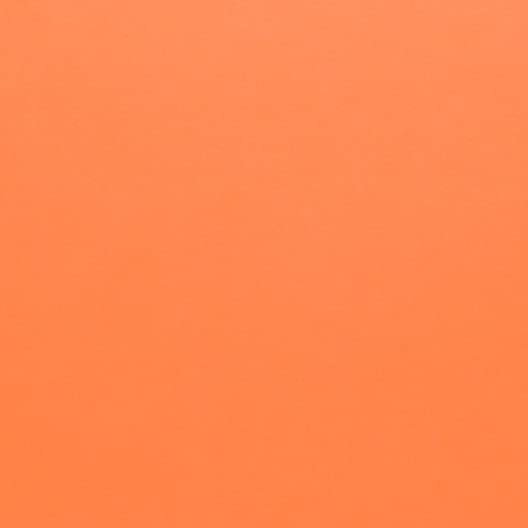 Hamilco Colored Scrapbook Cardstock Paper 12x12 Card Stock Paper 65 lb Cover 25 Pack (Peach Flower)