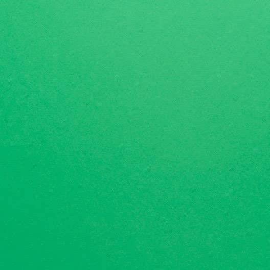 Hamilco Colored Scrapbook Cardstock Paper 12x12 Card Stock Paper 65 lb Cover 25 Pack (Brilliant Green) - Hamilco.com