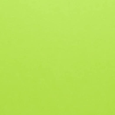 Hamilco Colored Scrapbook Cardstock Paper 12x12 Card Stock Paper 65 lb Cover 25 Pack (Pear Green)