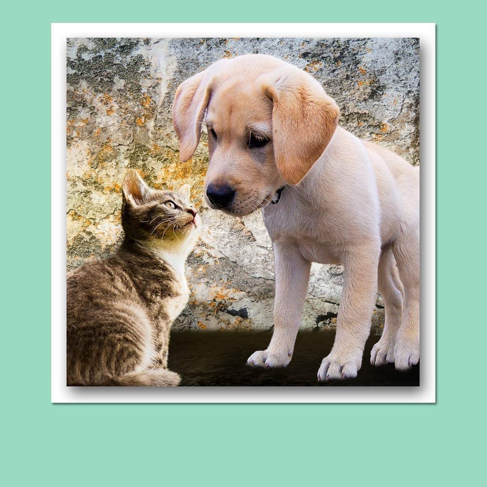 Blue Cardstock - 12 X 12 Nch - 65Lb Cover - 25 Sheets | Free Scrapbook - View #6