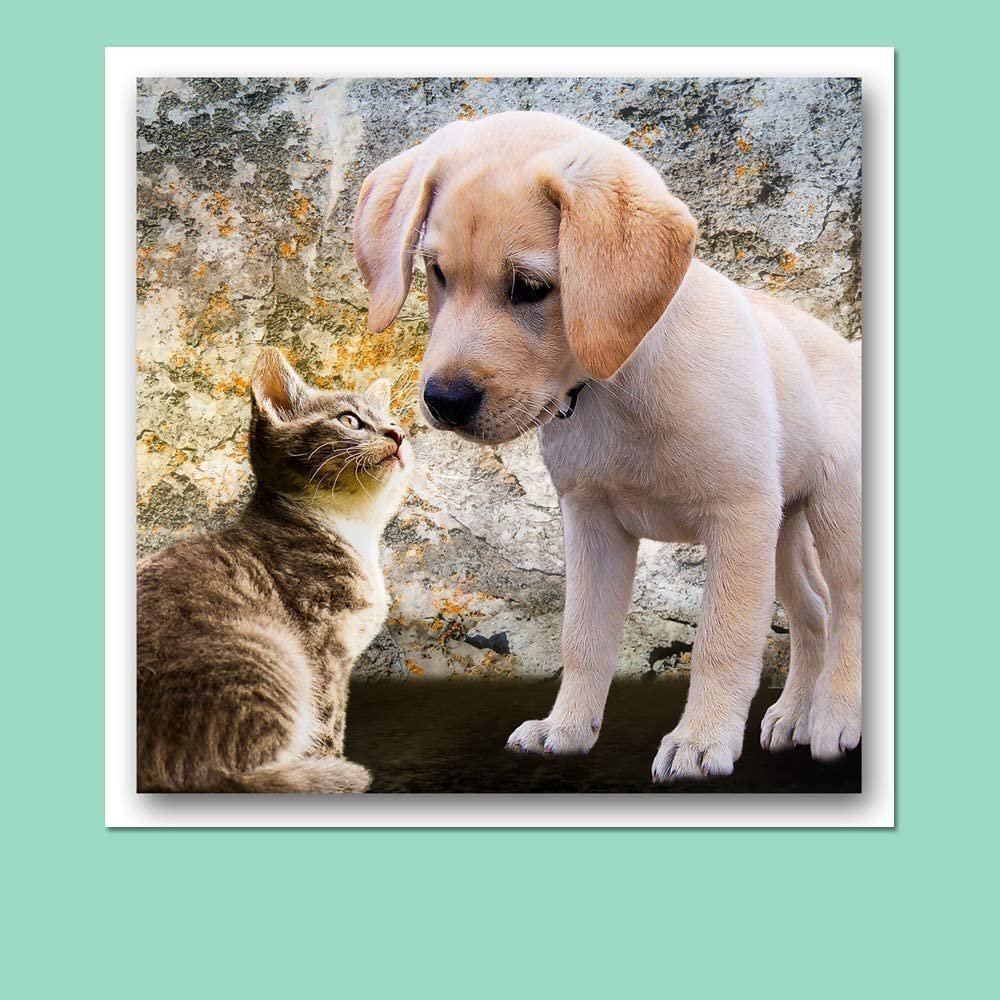 Hamilco White Cardstock Scrapbook Paper 12x12 Heavy Weight 100 lb Cover Card Stock – 25 Pack - Hamilco.com